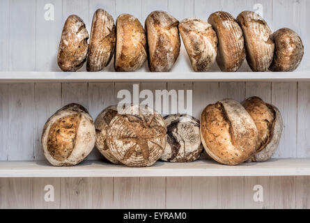 Vari realizzati tradizionalmente acida pane in una panetteria, DEVON REGNO UNITO Foto Stock