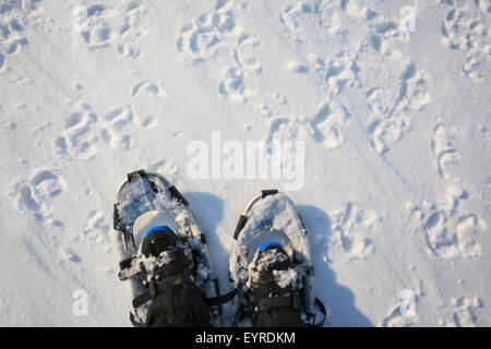 Vista da sopra dell'uomo in racchette da neve e renne footprint. Dovrefjell-Sunndalsfjella Parco Nazionale. La Norvegia. Foto Stock