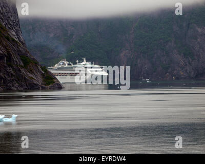 Tracy Arm, Alaska Foto Stock