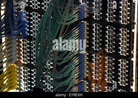 Patch di rete pannello con ethernet e i cavi a fibre ottiche. Foto Stock