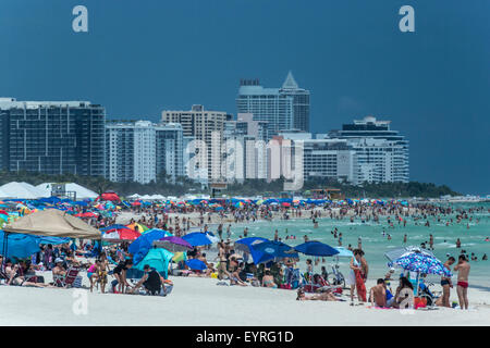Lucertole da mare SOUTH BEACH MIAMI BEACH FLORIDA USA Foto Stock