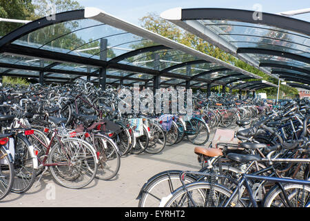 Riparo per biciclette in una grande città olandese Foto Stock