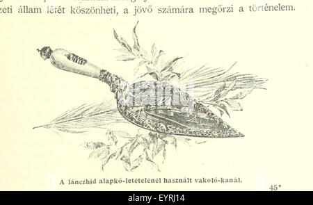 Un magyar nemzet tortenete. Szerkeszti Szilágyi S. [con mappe e illustrazioni.] immagine presa da pagina 797 di un "magyar nemzet tortenete Foto Stock