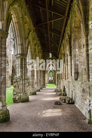 Le rovine di Tintern Abbey, vicino a Chepstow, Monmouthshire, Wales, Regno Unito Foto Stock