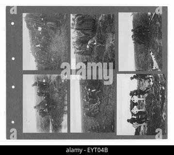 Questa immagine della collezione ufficiale di fotografie di guerra del Canadian War Memorials Fund rappresenta un momento significativo del coinvolgimento del Canada nella prima guerra mondiale, mostrando le forze canadesi in azione. Foto Stock