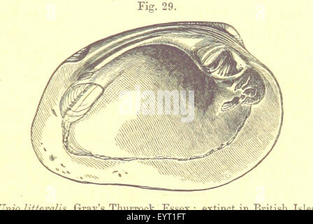 Immagine presa da pagina 235 del '[Le evidenze geologiche di Foto Stock