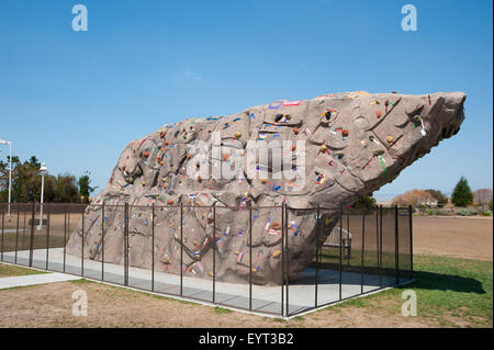 MENLO Park, CA - 1 agosto: un muro di roccia da scalare utilizzato da FaceBook dipendenti presso le loro sedi nel mondo di Menlo Park, California Foto Stock