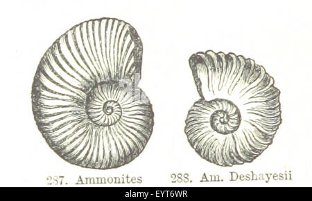 Contorni di geologia ... Seconda edizione riveduta, etc immagine presa da pagina 346 di "contorni di geologia Foto Stock