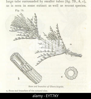 Principi di geologia ... Ristampati dalla sesta edizione in lingua inglese, etc immagine presa da pagina 370 di 'principi di geologia Foto Stock