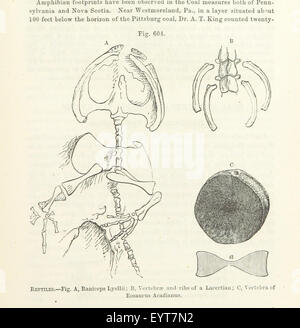 Immagine presa da pagina 373 di 'Manuale della geologia: trattamento dei principi della scienza con speciale riferimento alla American storia geologica ... Edizione riveduta' immagine presa da pagina 373 di 'Manuale di geologia il trattamento Foto Stock