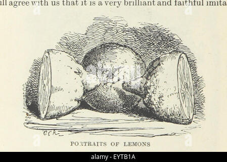 Immagine presa da pagina 502 di 'L'Oxford Thackeray. Con illustrazioni. [Modificati con introduzioni di George Saintsbury.]' immagine presa da pagina 502 di 'L'Oxford Thackeray con Foto Stock