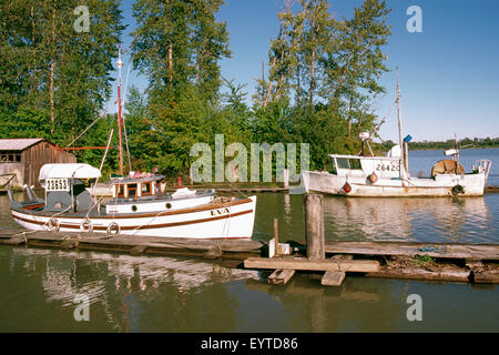 Fraser Fiume, Richmond, BC, British Columbia, Canada - Commerciale di pesca barche ormeggiate nel Finn Slough, una comunità di marea Foto Stock