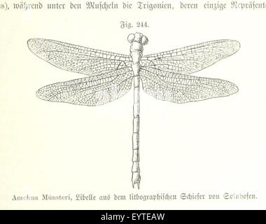 Immagine presa da pagina 677 di "Unser Wissen von der Erde. Allgemeine Erdkunde und Länderkunde, herausgegeben unter fachmännischer Mitwirkung von A. Kirchhoff' immagine presa da pagina 677 di "Unser Wissen von der Foto Stock