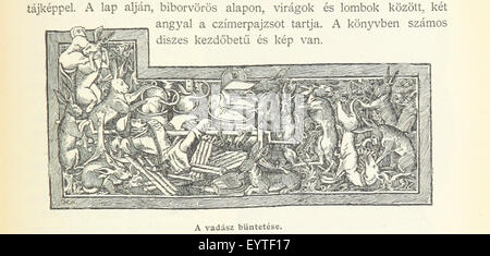 Immagine presa da pagina 721 di un "magyar nemzet tortenete. Szerkeszti Szilágyi S. [con mappe e illustrazioni.]' immagine presa da pagina 721 di un "magyar nemzet tortenete Foto Stock