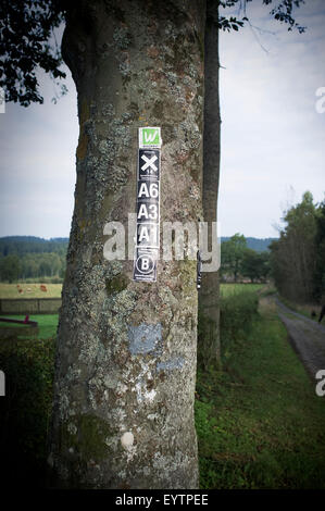 Sauerland Waldroute, Föckinghausen vicino Bestwig Foto Stock