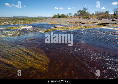 Bella cascata nella laguna di Canaima, il Parco Nazionale di Canaima, Venezuela, Sud America 2015 Foto Stock