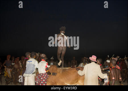 Hamer boy saltando i tori per diventare un uomo, Hamer Bull Jumping cerimonia, Turmi, a sud della valle dell'Omo, Etiopia Foto Stock