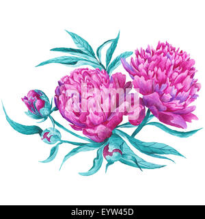 Dipinto a mano ad acquarello dettagliata vignette con fiori di fioritura, le gemme e le foglie isolati su sfondo bianco Foto Stock