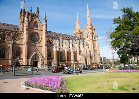 St Marys Cathedral di Sydney fu costruito nel 1868 , è la cattedrale della Chiesa Cattolica Romana l Arcidiocesi di Sydney, Australia Foto Stock