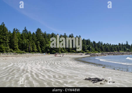 Bellissime spiagge di sabbia della spiaggia di Chesterman, parte di Long Beach, vicino a Tofino, BC, Canada. Sull'isola di Vancouver. Foto Stock