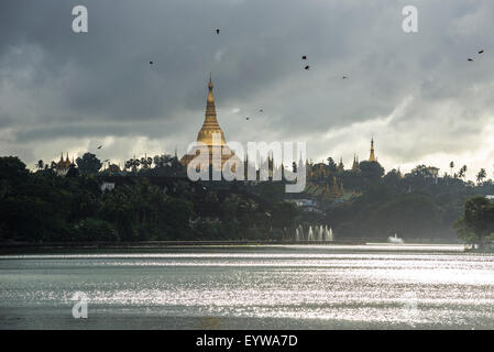 Golden stupa principale, chedi, Shwedagon pagoda, Lago Kandawgyi, Kandawgyi Natura Park, Yangon o Rangoon, Regione di Yangon, Myanmar Foto Stock