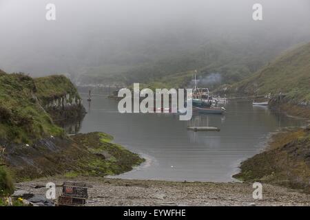 Ondine ; Anno : 2009 Irlanda / USA ; Direttore : Neil Jordan ; foto: Patrick Redmond - Wayfare Entertainment Foto Stock