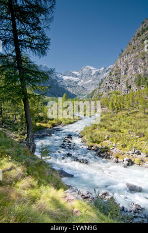 Fiume in Valnontey. Il Parco Nazionale del Gran Paradiso. Valle d'Aosta. Graian Alps. L'Italia. Foto Stock