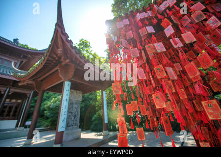 In legno rosso Cinese tradizionale buona fortuna fascino e la pagoda in background, Hangzhou, Zhejiang, Cina e Asia Foto Stock