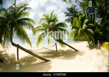 Tropical Island Beach con amaca a Matangi Island Resort, Vanua Levu, Figi, Pacific Foto Stock