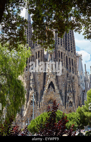 La Sagrada Familia, il Sito Patrimonio Mondiale dell'UNESCO, Barcellona, in Catalogna, Spagna, Europa Foto Stock