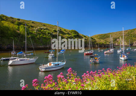 Solva Harbour, Pembrokeshire, Wales, Regno Unito, Europa Foto Stock