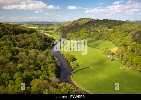 Vista sulla valle di Wye dalla Symonds Yat Rock, Symonds Yat, Foresta di Dean, Herefordshire, England, Regno Unito, Europa Foto Stock