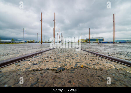 Titanic Quarter a Belfast attirando turisti da tutto il mondo Foto Stock