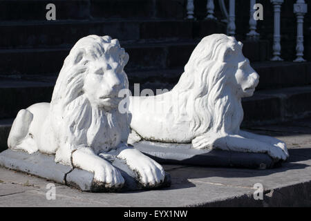 Una coppia di cast lions ornamentali, Irlanda. Foto Stock