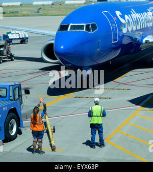 Massa femmina membro di equipaggio dirigere Southwest Airlines jet al gate terminale jetway posto parcheggio all'Aeroporto Internazionale di Denver in Colorado Foto Stock