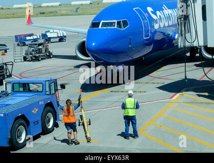 Massa femmina membro di equipaggio dirigere Southwest Airlines jet al gate terminale jetway posto parcheggio all'Aeroporto Internazionale di Denver in Colorado Foto Stock