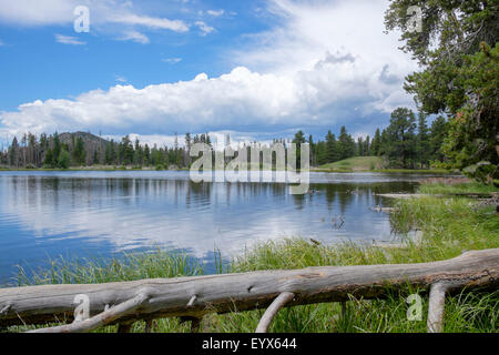 Ratti Sprague Lago in Colorado Rocky Mountains National Park USA Foto Stock