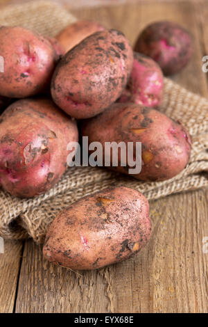 Pile di patate fresche crude, effetto foto dall'alto. Ingrediente ricco di  cibo proteico. Patate crude per patatine o patatine fritte. Patata matura  in buccia in azienda agricola biologica Foto stock - Alamy