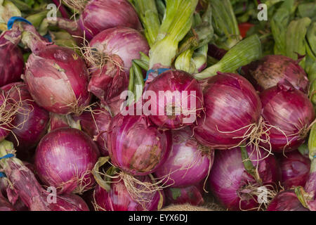 Fresche raccolte le cipolle rosse con foglie al mercato degli agricoltori Foto Stock