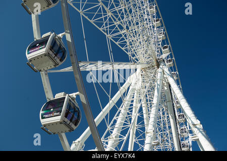 Vista del cielo ruota panoramica Ferris Downtown Atlanta in Georgia negli Stati Uniti Foto Stock