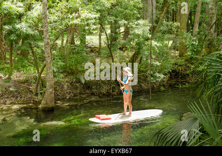 Paddle boarder sul fiume d'argento, Ocala Florida. Foto Stock