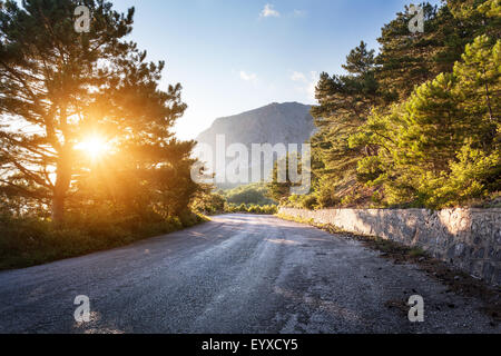 Strada asfaltata nel bosco estivi al tramonto. Montagne di Crimea. Foto Stock