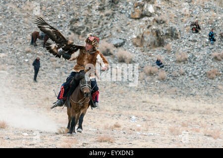 Eagle hunter concorrente con eagle l'esca, Eagle Festival, Olgii, Mongolia occidentale Foto Stock