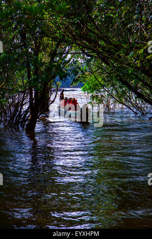 Nella giungla del Suriname con il Raleigh cade Foto Stock