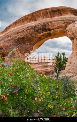 Vista della partizione Arch lungo il Devils Garden Trail nel Parco Nazionale di Arches Foto Stock