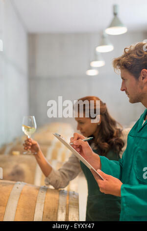 Vintners esaminando il vino bianco in cantina Foto Stock