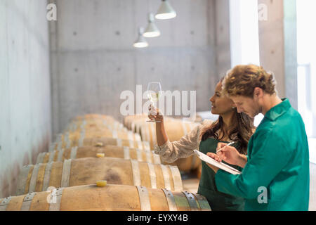 Vintners esaminando il vino bianco in cantina Foto Stock