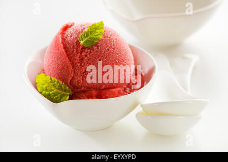 Frutta fresca gelato o sorbetti in una tazza da vicino. Foto Stock