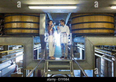 Vintners esaminando il vino sulla piattaforma in cantina Foto Stock