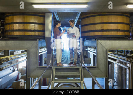 Vintners esaminando il vino sulla piattaforma in cantina Foto Stock